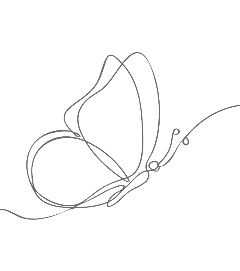 Line drawing of a butterfly